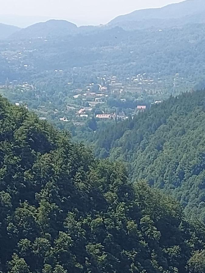 Apartament Ovo Sinaia Esterno foto