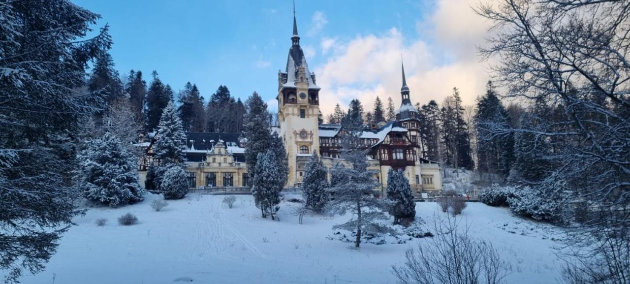 Apartament Ovo Sinaia Esterno foto