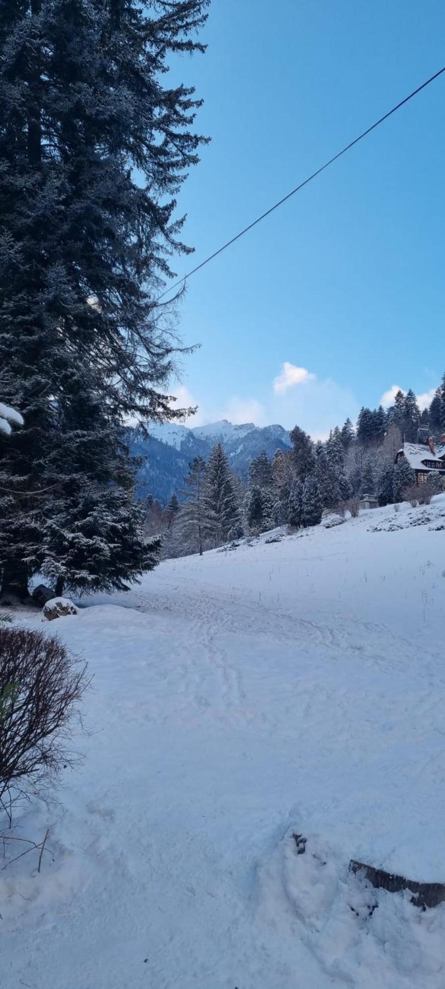 Apartament Ovo Sinaia Esterno foto
