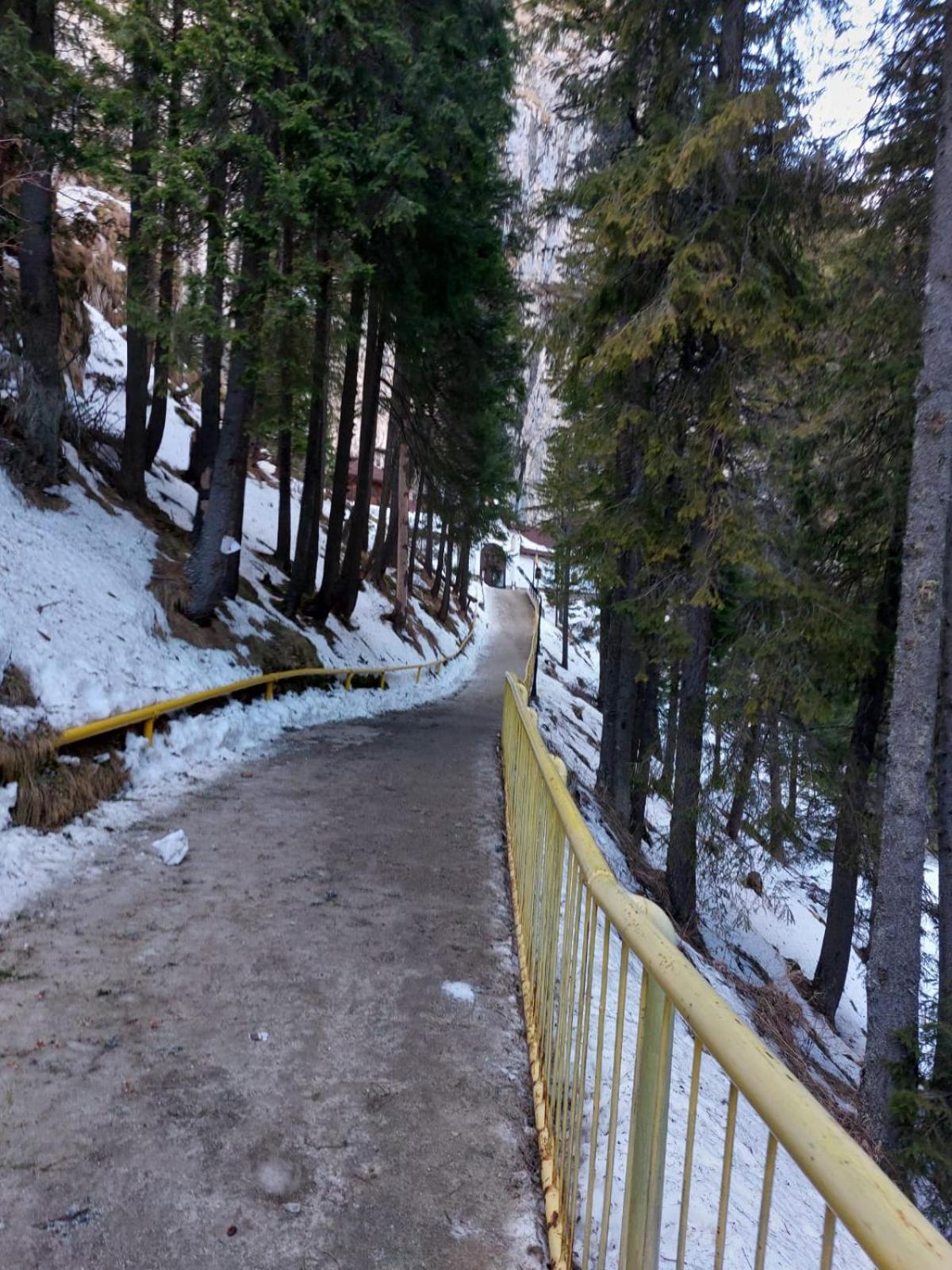 Apartament Ovo Sinaia Esterno foto